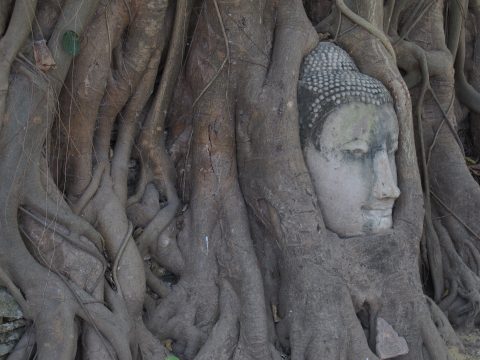 Wa Mahathat Temple Bangkok Thailand